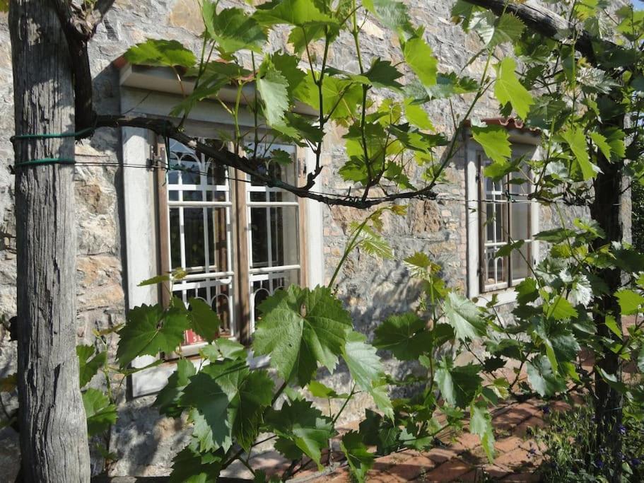 A Lovely House In Vipava Valley Exterior foto